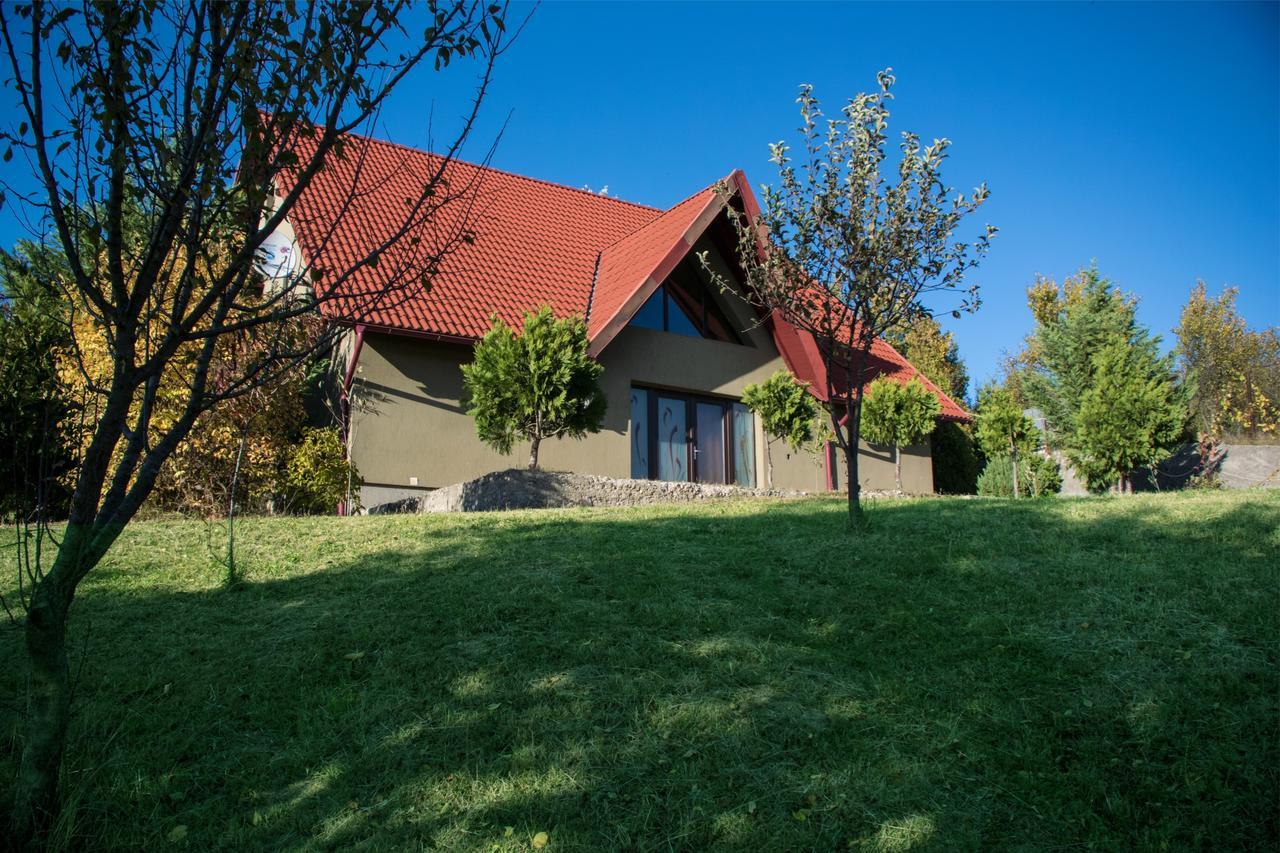 Guesthouse Vila Melisa Rasvadu de Sus Exterior foto