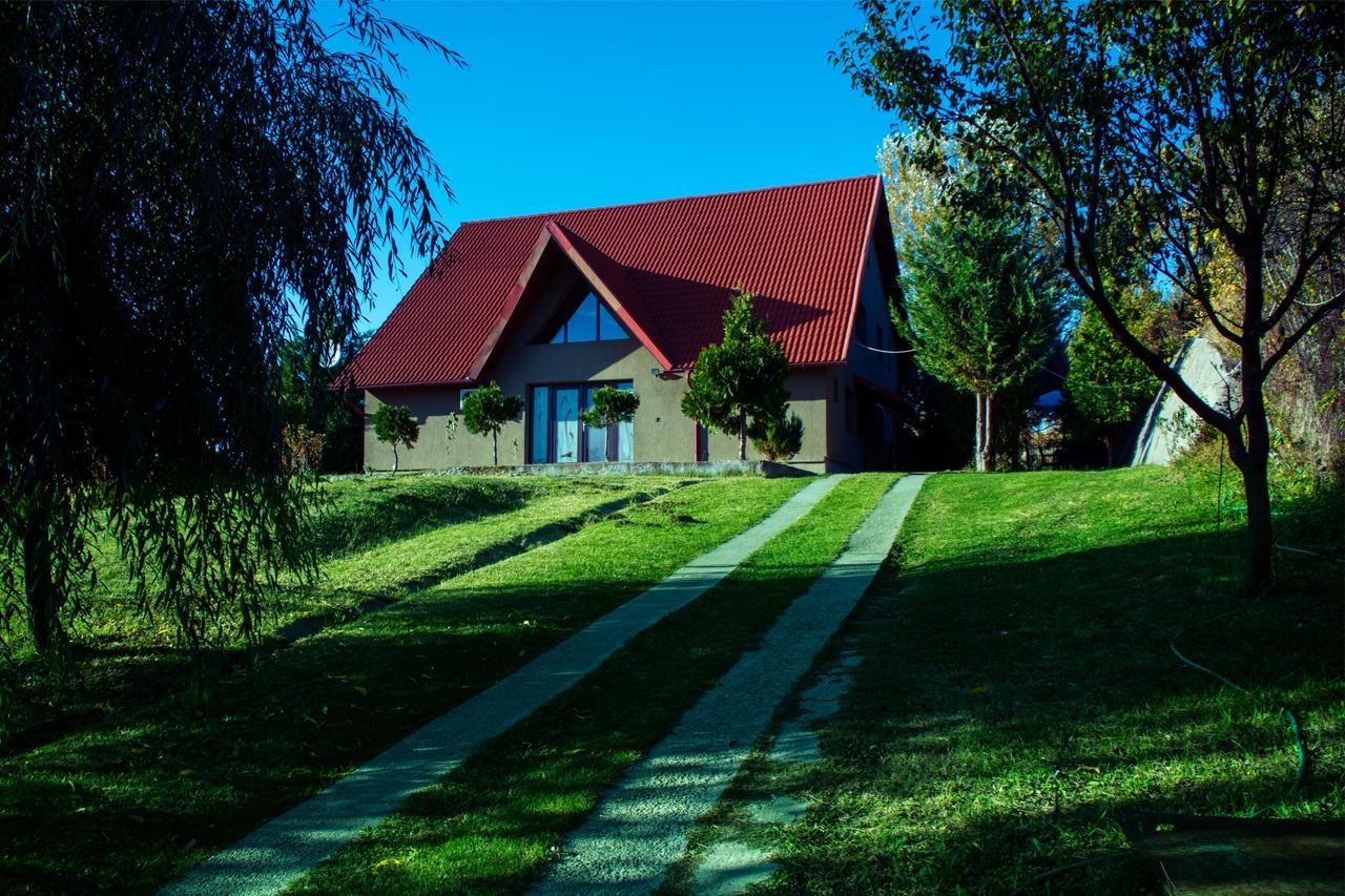 Guesthouse Vila Melisa Rasvadu de Sus Exterior foto